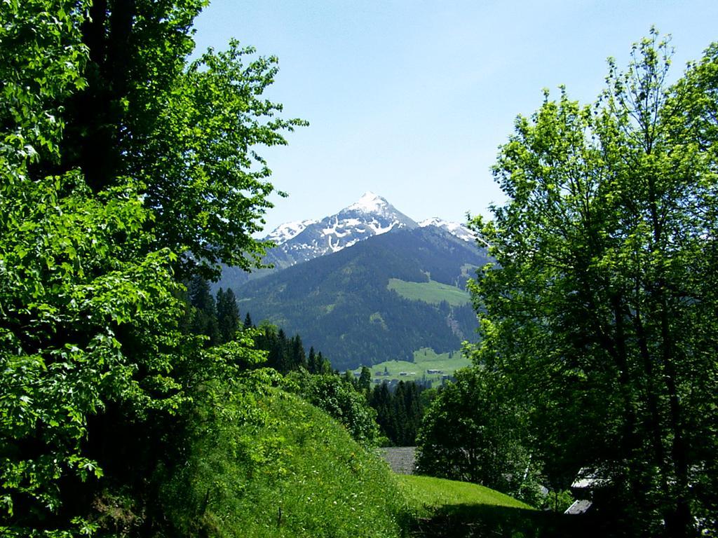 Ferienwohnungen Unterfeld Alpbach Zewnętrze zdjęcie