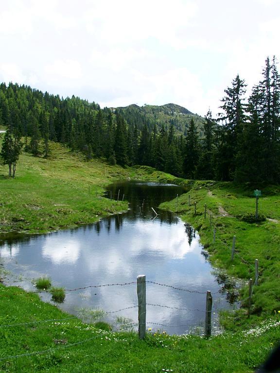Ferienwohnungen Unterfeld Alpbach Zewnętrze zdjęcie
