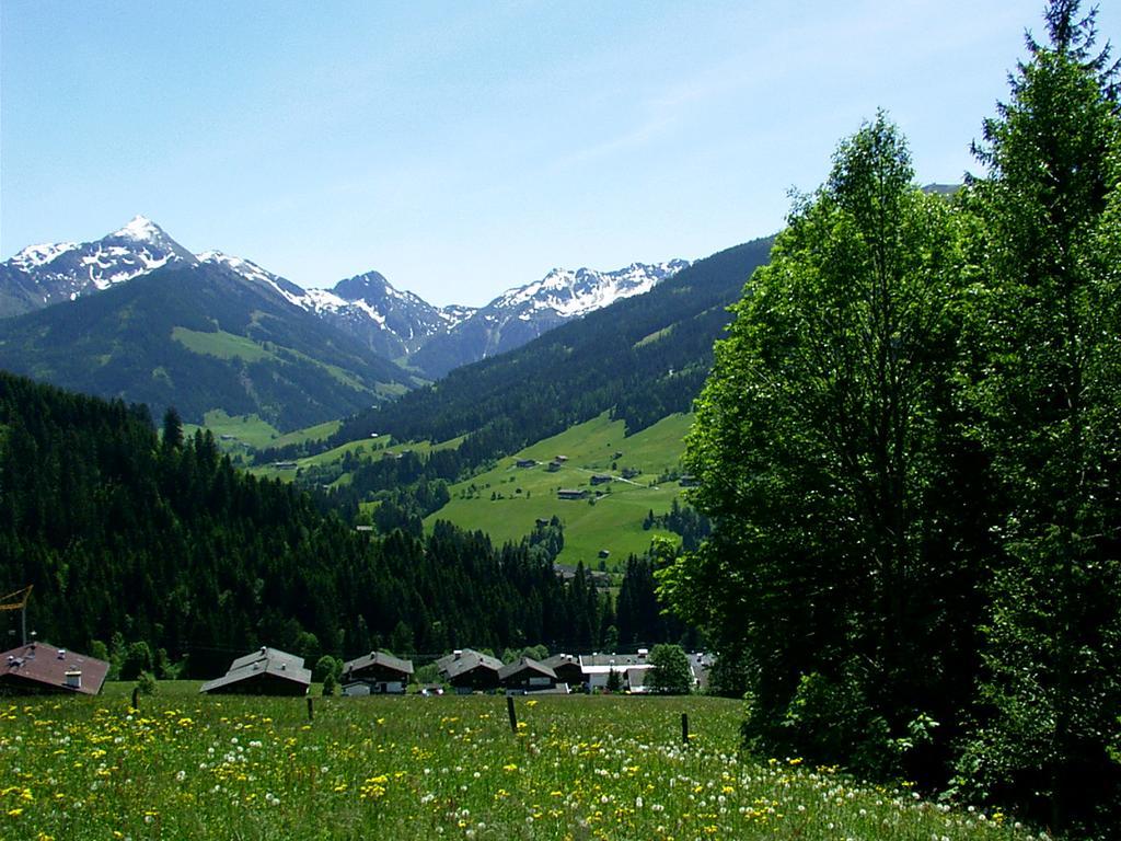 Ferienwohnungen Unterfeld Alpbach Zewnętrze zdjęcie