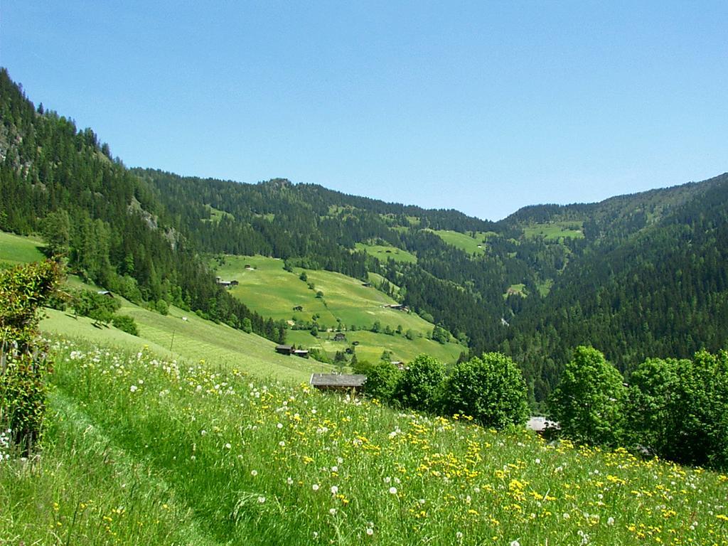 Ferienwohnungen Unterfeld Alpbach Zewnętrze zdjęcie